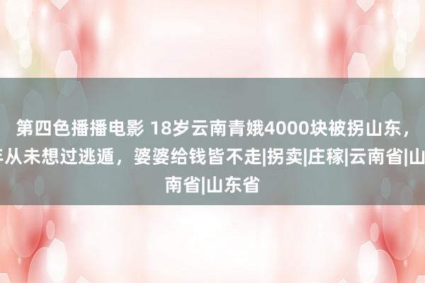 第四色播播电影 18岁云南青娥4000块被拐山东，10年从未想过逃遁，婆婆给钱皆不走|拐卖|庄稼|云南省|山东省