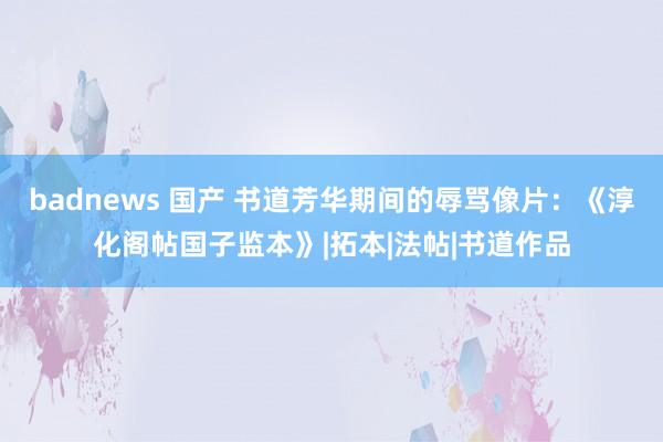 badnews 国产 书道芳华期间的辱骂像片：《淳化阁帖国子监本》|拓本|法帖|书道作品